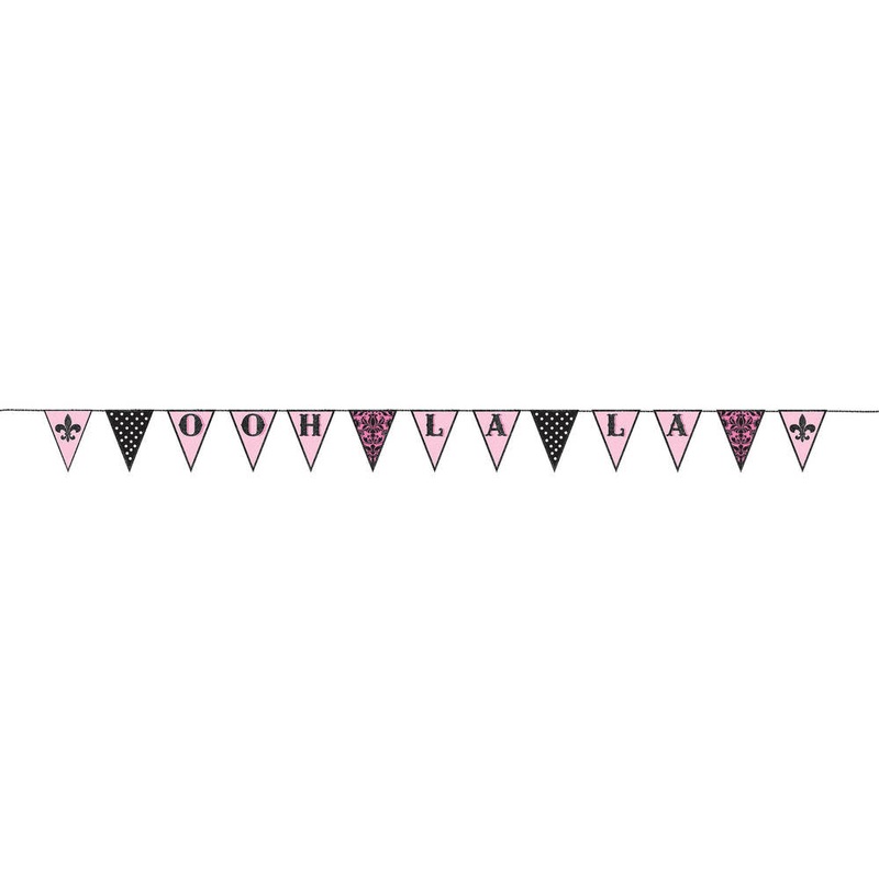 Day In Paris Pennant Banner