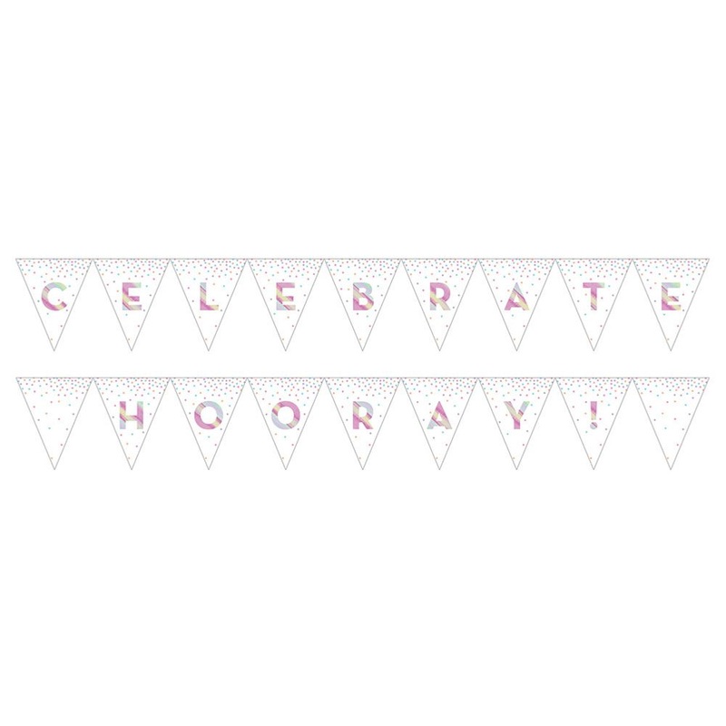 Iridescent Foil Pennant Banner