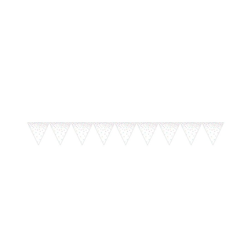 Iridescent Party Pennant Banner