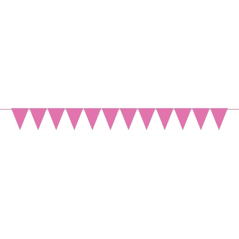 Pink Mini Paper Pennant Banner