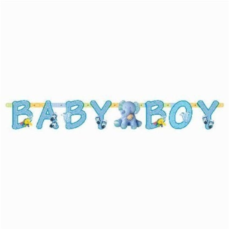 Teeny Tiny Boy Banner