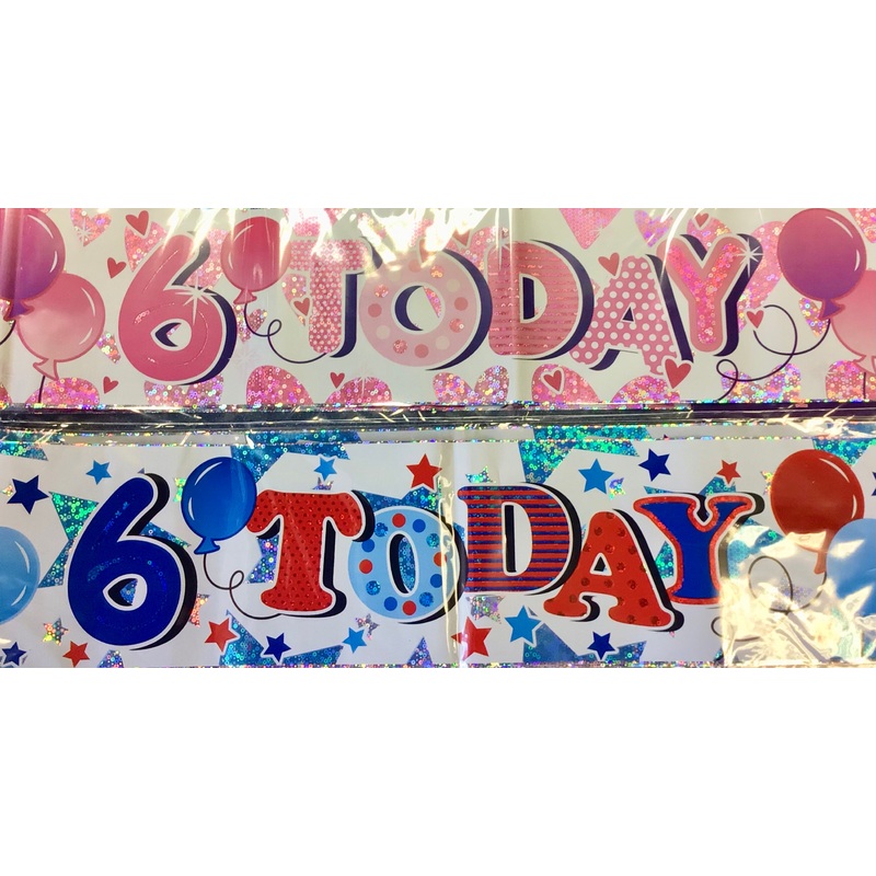 Age 6 Birthday Banner