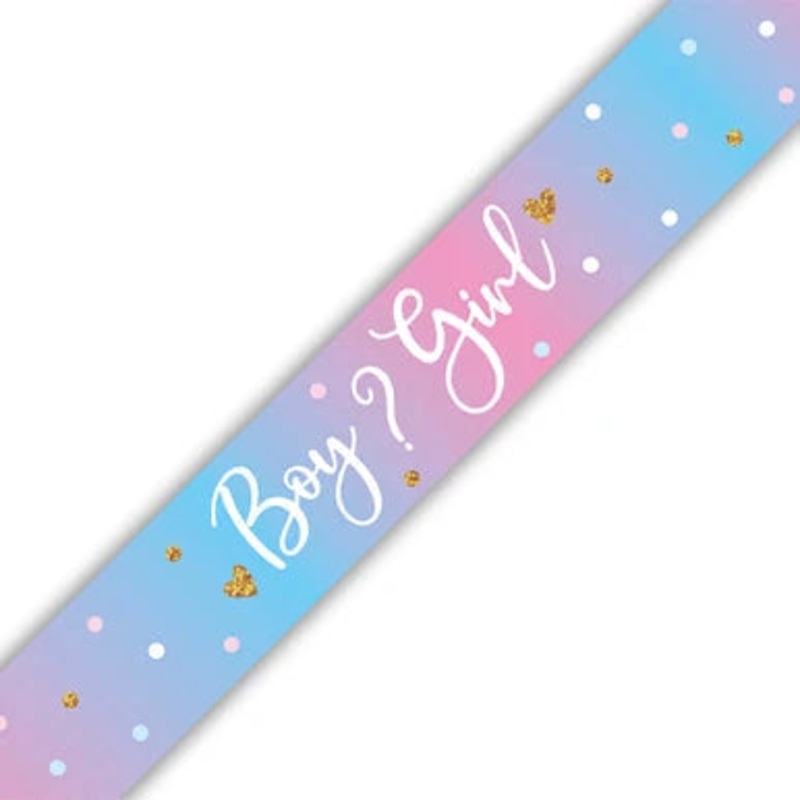 Gender Reveal Party Banner