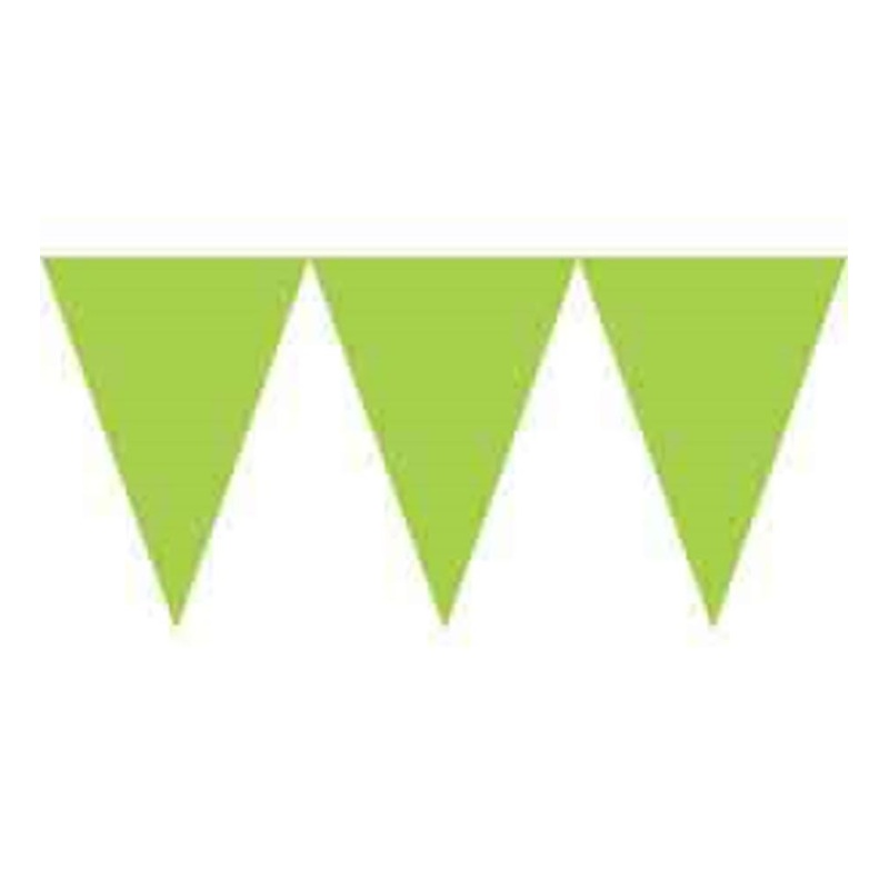 Pennant Paper Banner - Kiwi
