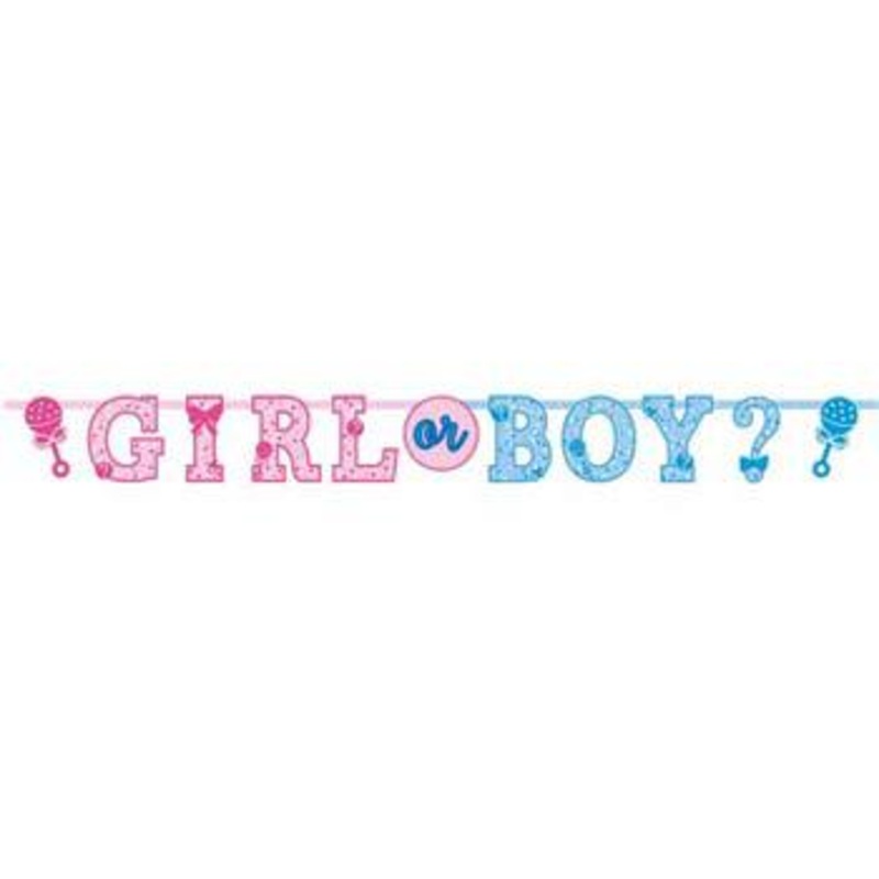 Gender Reveal Letter Banner Pack