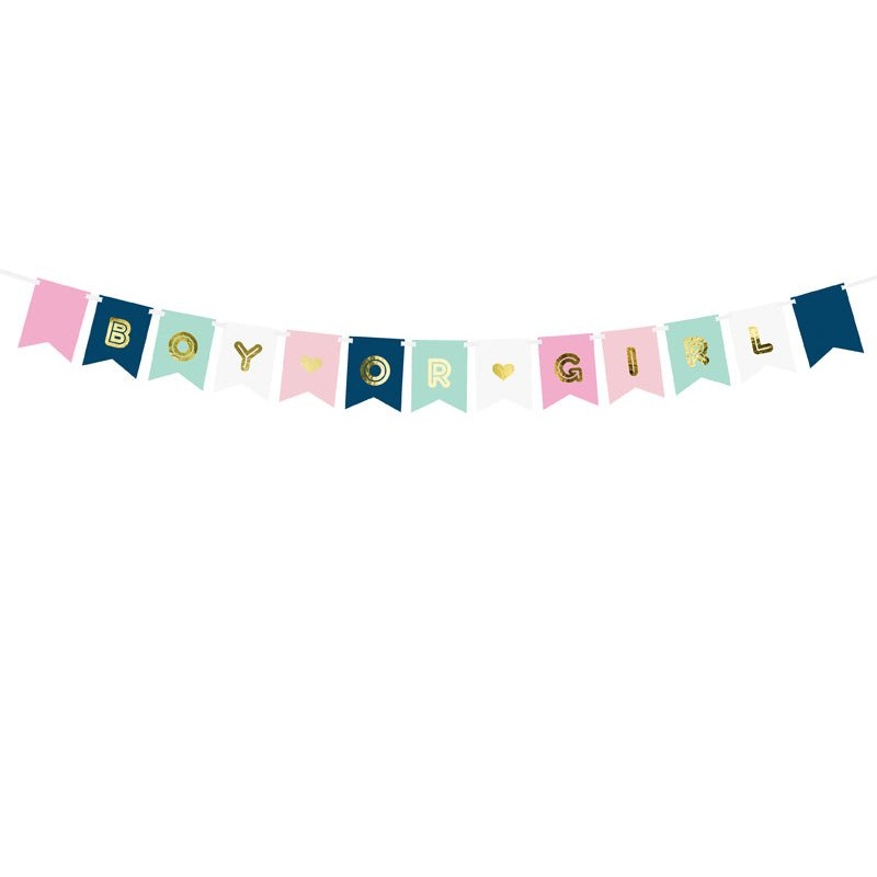 Boy or Girl < br> Banner