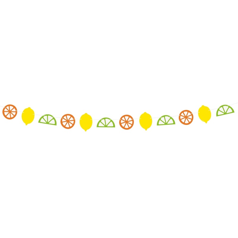 Citrus Themed Party Banner