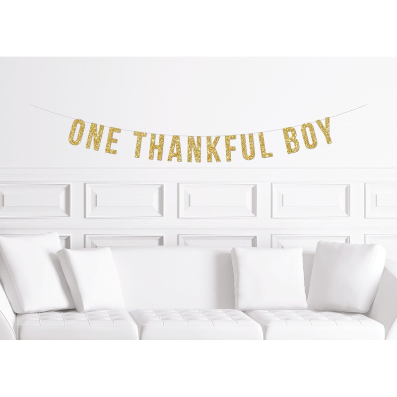 One Thankful Boy Banner