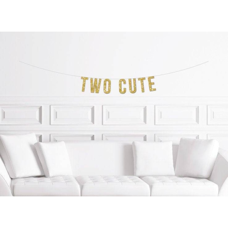 Two Cute Second Birthday Banner