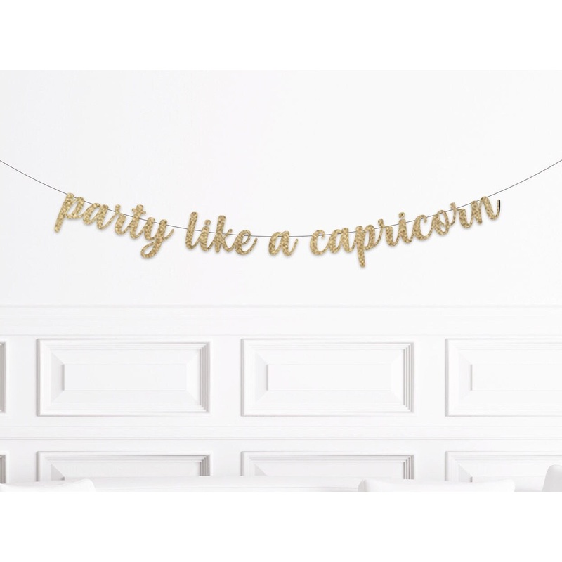 Party Like A Capricorn Banner