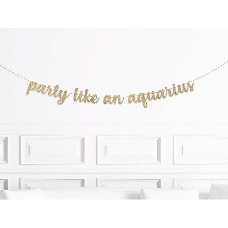 Party Like An Aquarius Banner