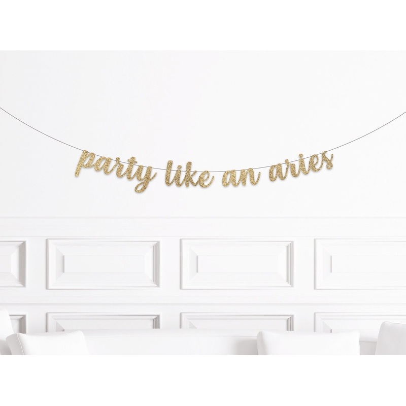 Party Like An Aries Banner