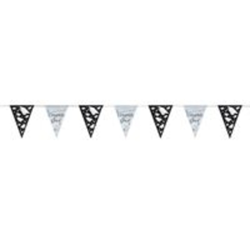 Graduation Flag Banner 9ft