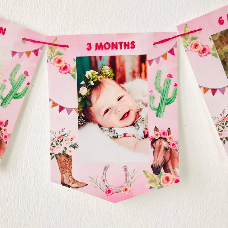 Horse Milestones Photo Banner