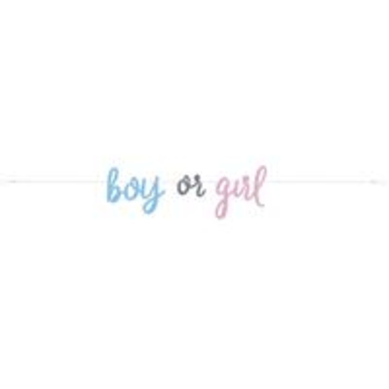 Gender Reveal Banner