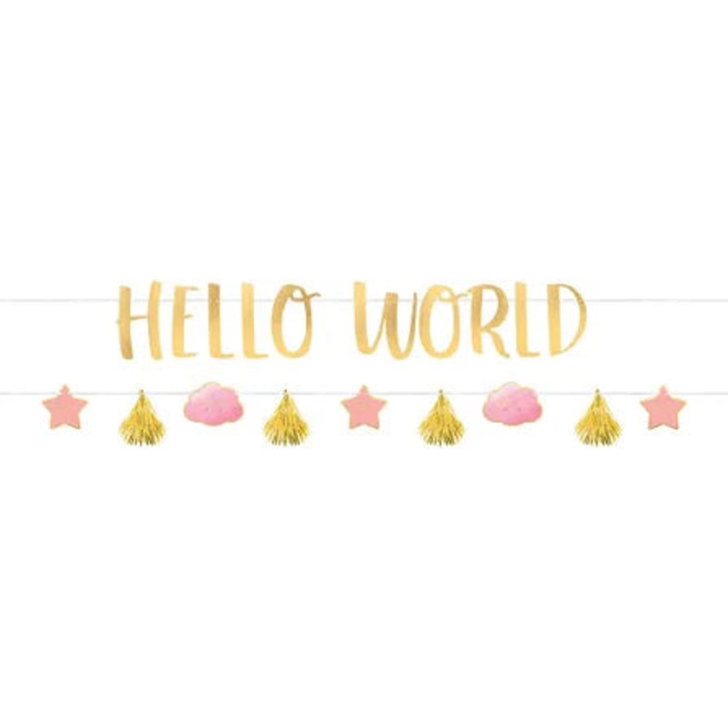 Hello World - Pink Banner Kit