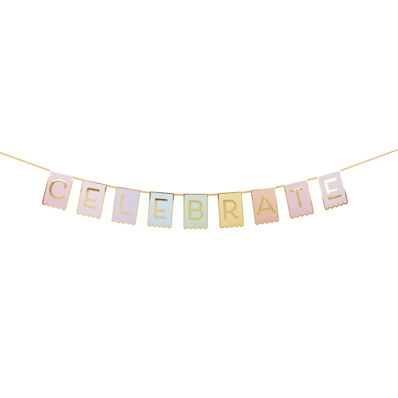 Pastel Pinweel Party Banner