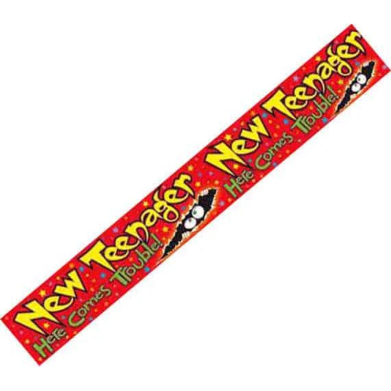 Teenager Banner - 2.6m