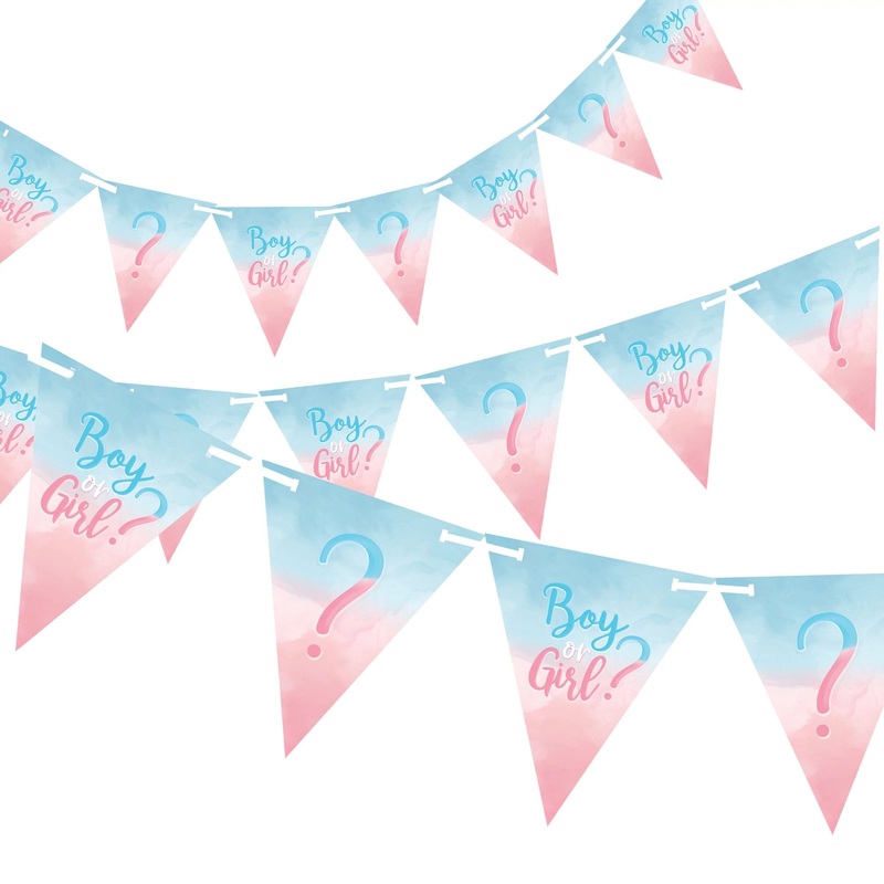 Gender Reveal Pennant Banner