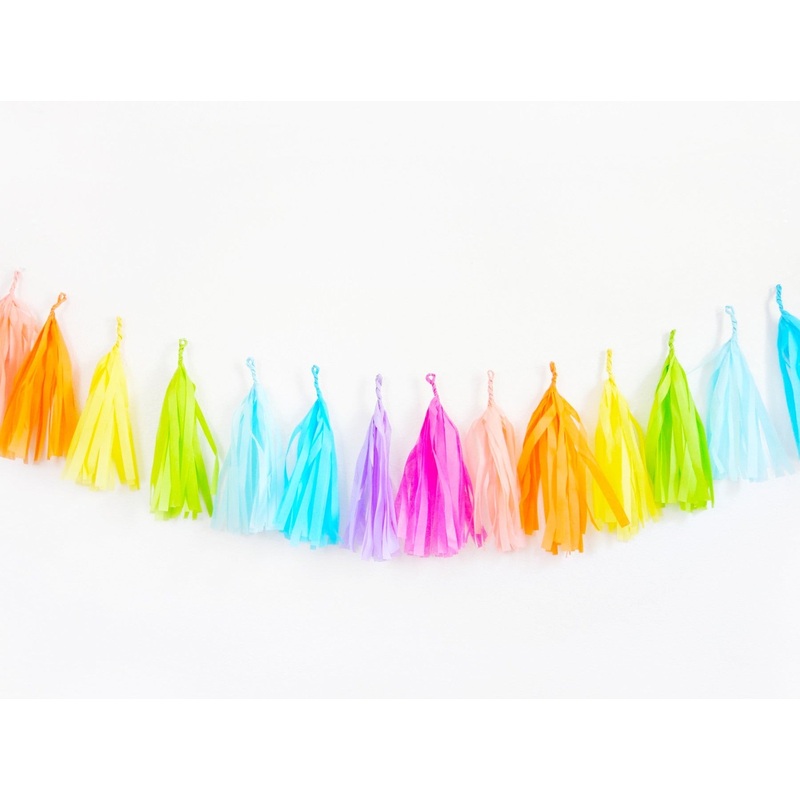 Bright Rainbow Tassel Garland