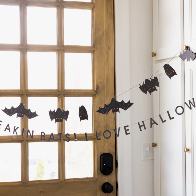Freakin' Bats String Banner