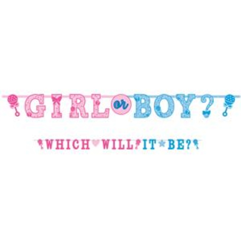 Girl Or Boy? Letter Banners 2pcs
