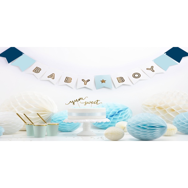 Banner Baby Boy 15 x 160 cm