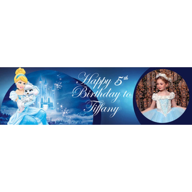 Cinderella Castle Banner