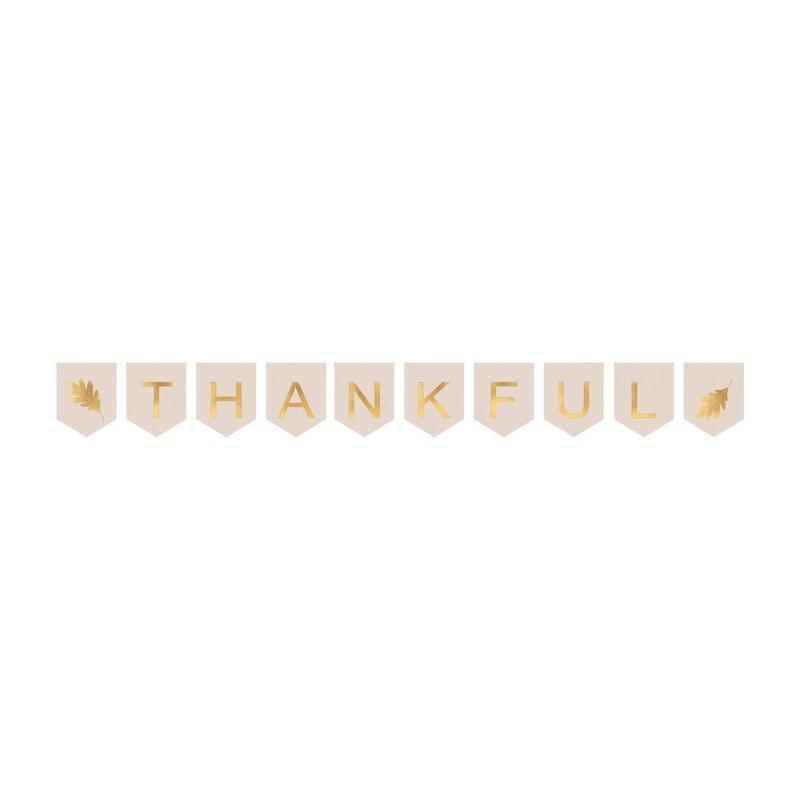 Thankful Canvas Pennant Banner