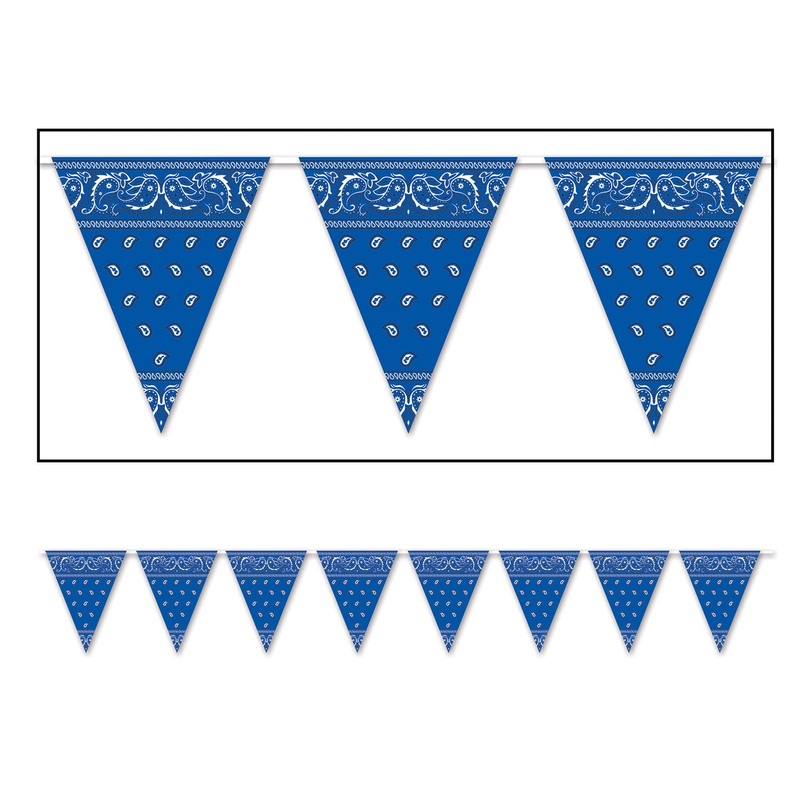 Blue Western Pennant Banner