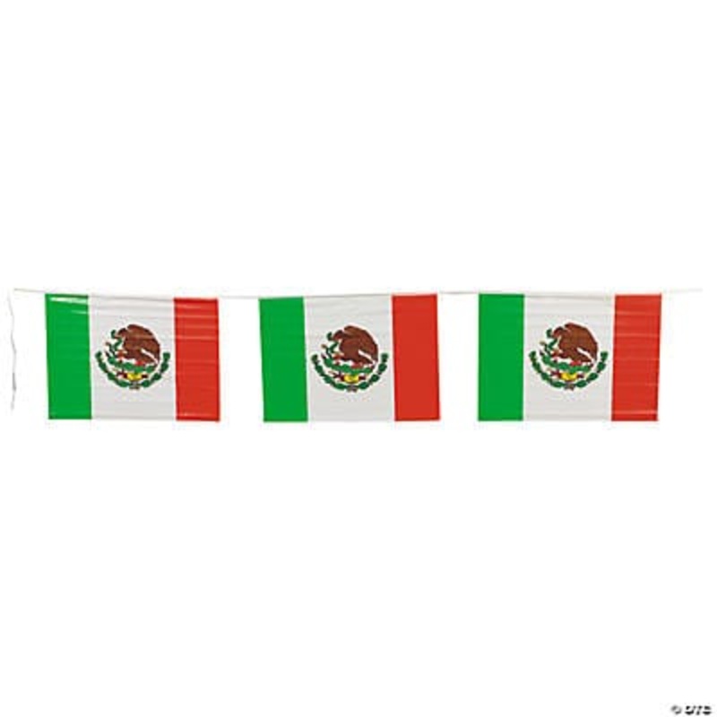 Mexican Flag Pennant Banner 24