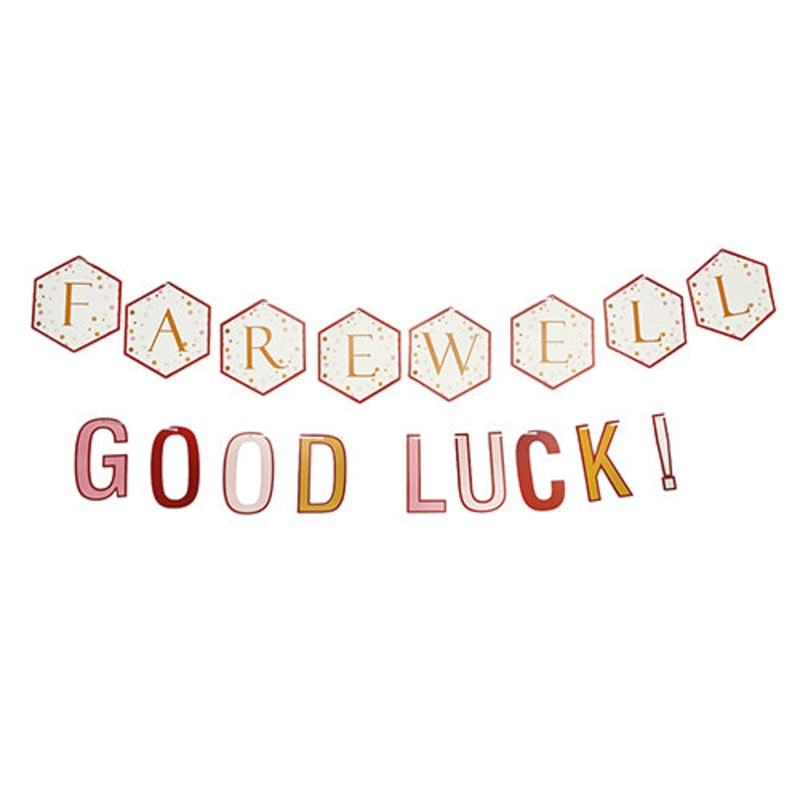 FAREWELL GOOD LUCK WALL BANNER