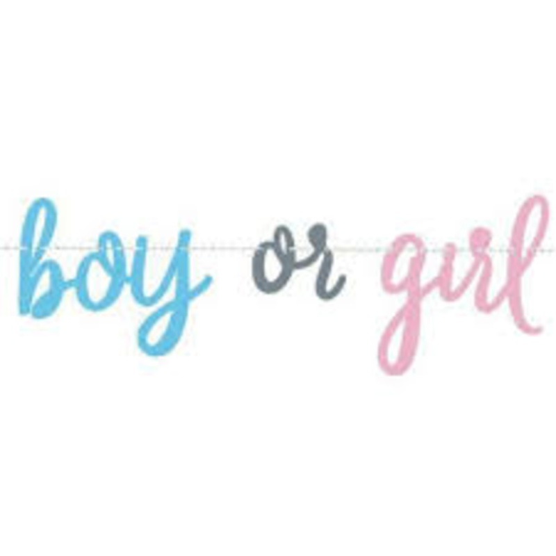 GENDER REVEAL SCRIPT BANNER