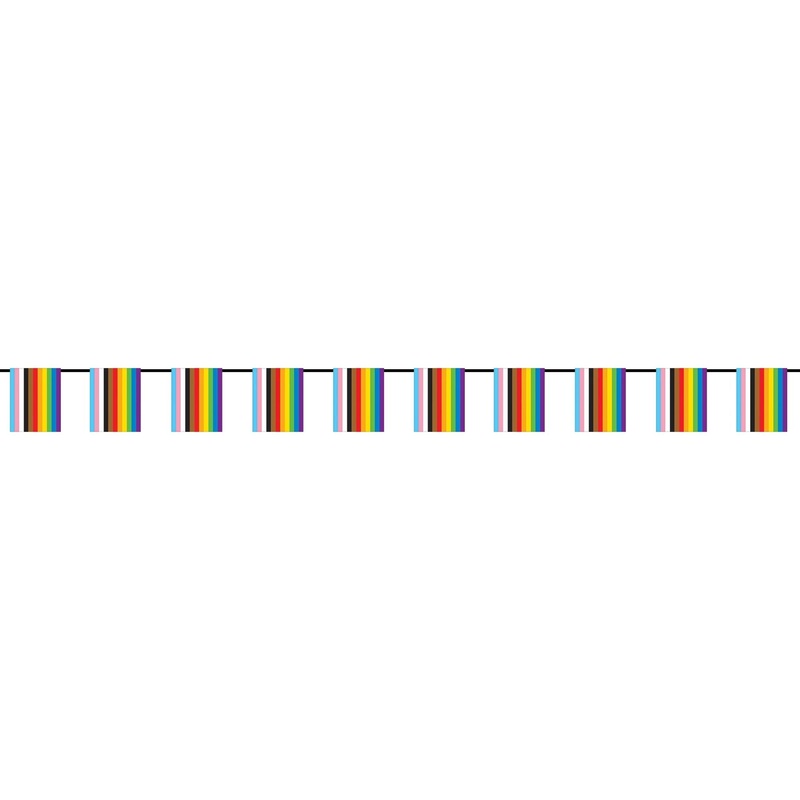 Progressive Mini Flag Banner