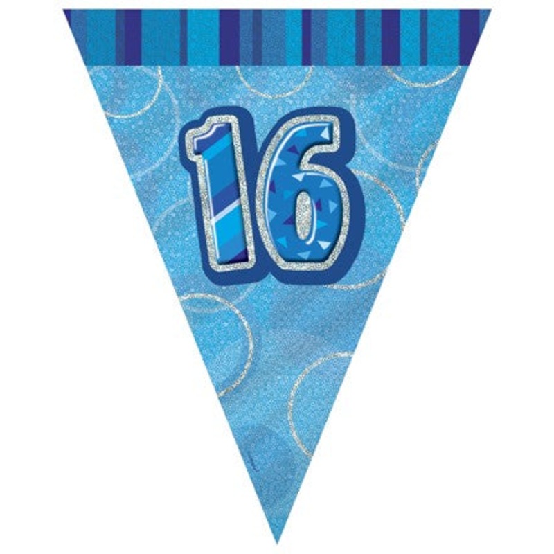 16th Blue Flag Banner