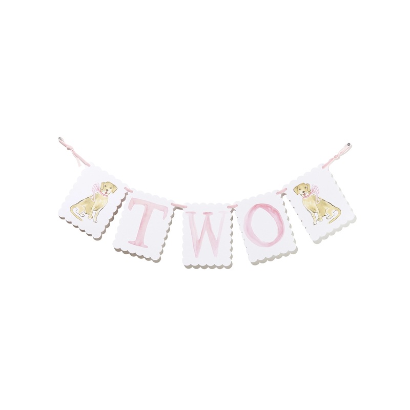 PINK "TWO" BIRTHDAY BANNER