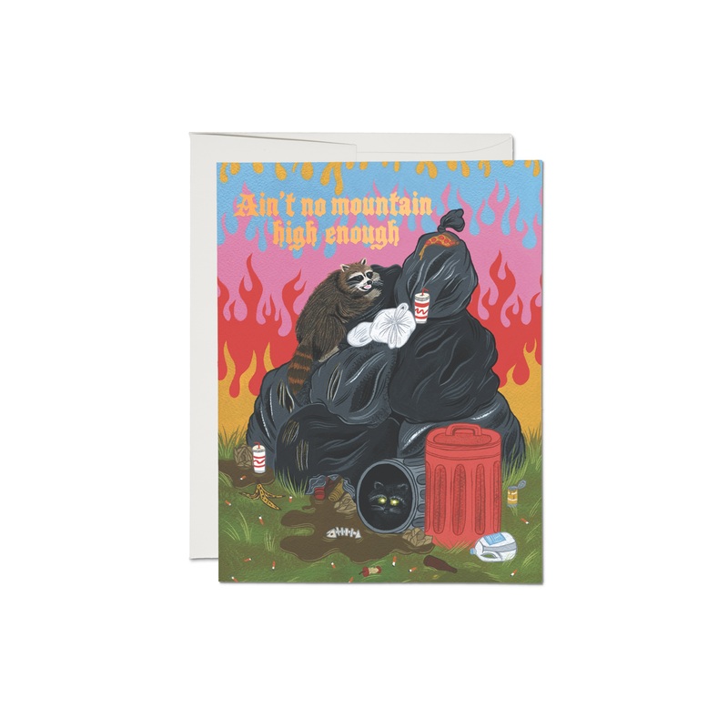 Everyday Card - Raccoon Fun