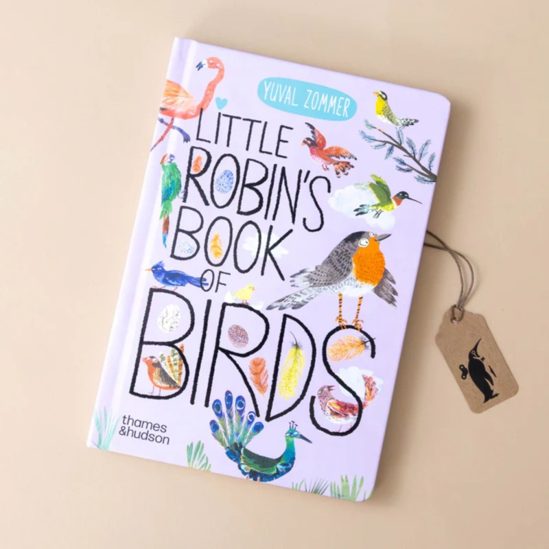 Little Robin's Book of Birds