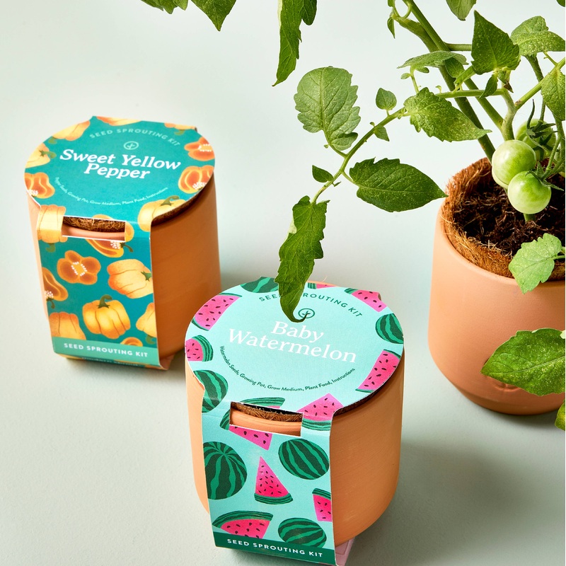 NEW Tiny Terracotta Garden Kit