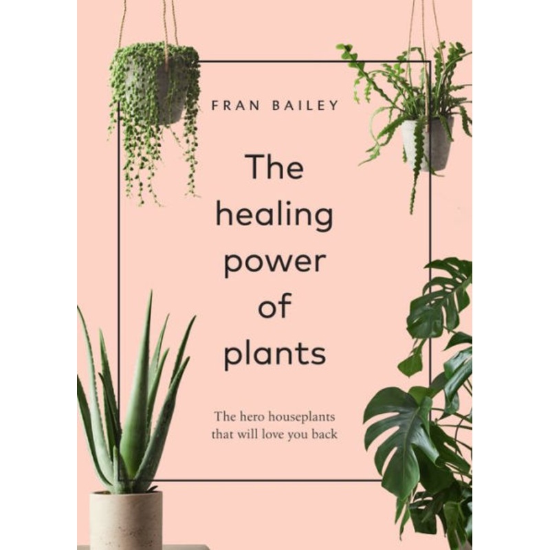 The Healing Power of Plants: The Hero Houseplants That Will Love You Back