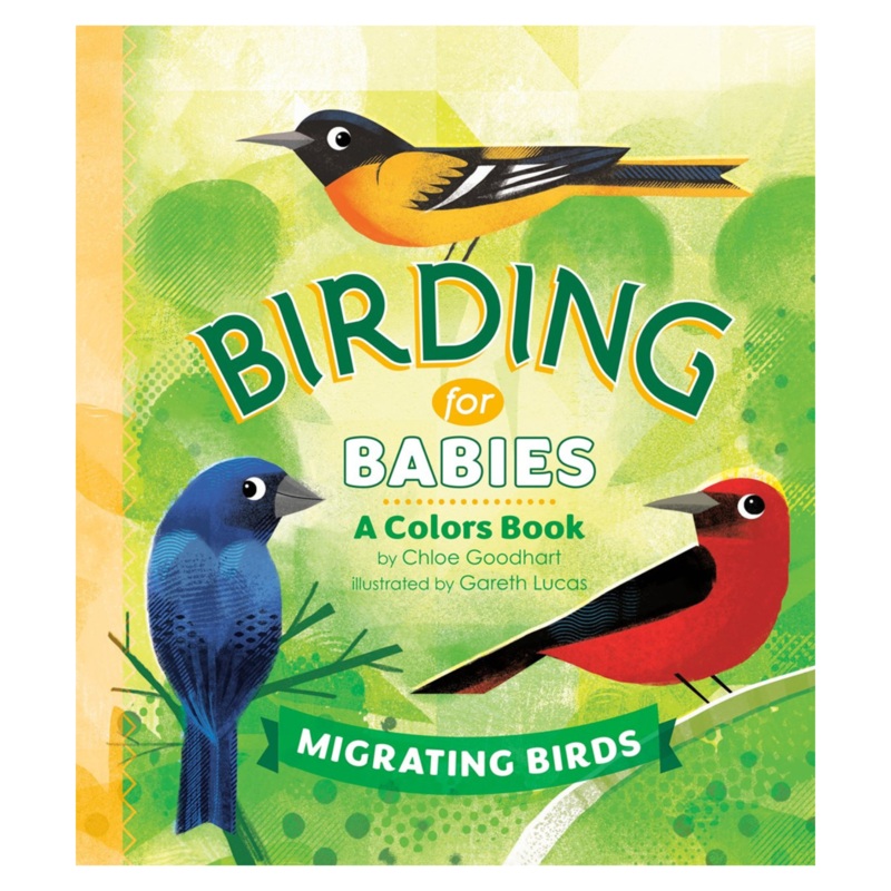 Birding for Babies: Migrating Birds: A Colors Book