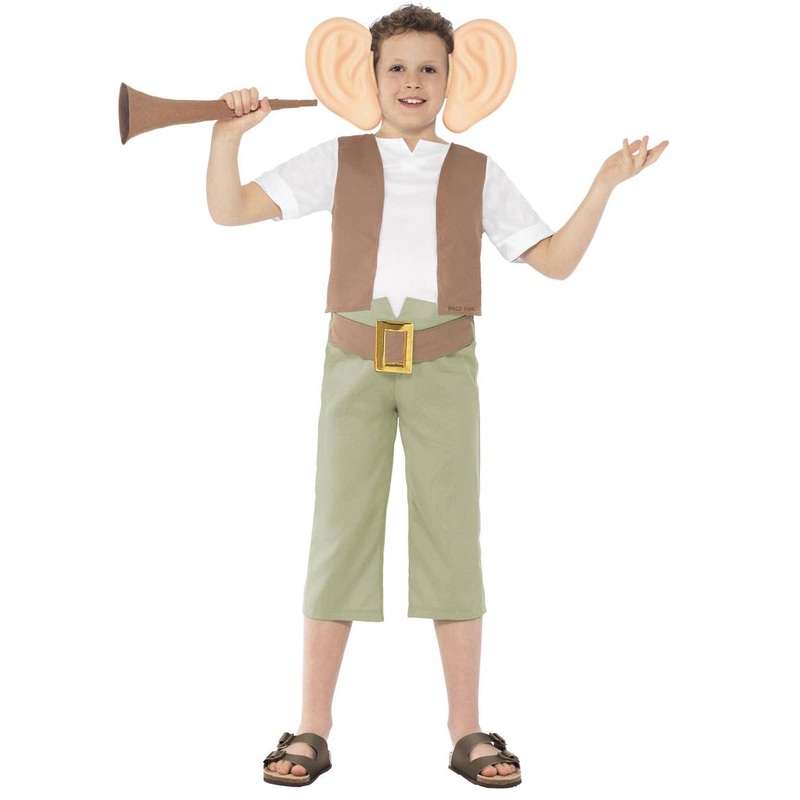 The BFG Teen Boys Roald Dahl Book Week Costume