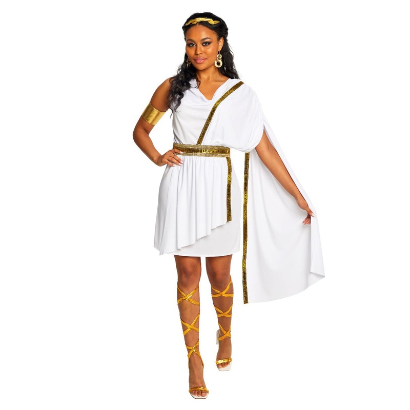 Divine Womens Roman Goddess Toga Costume