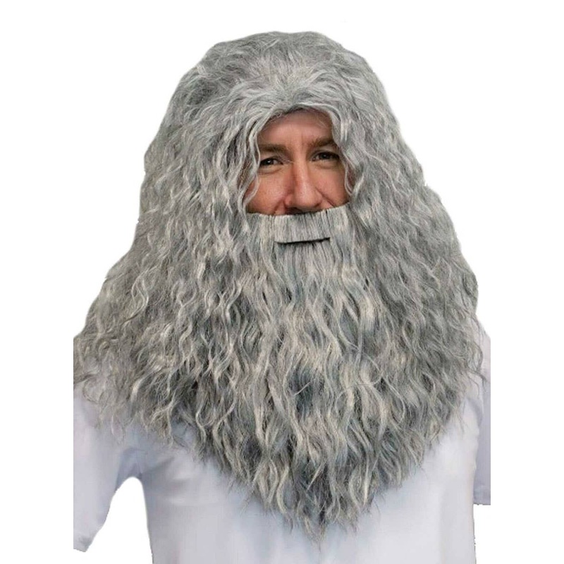 Magical Wizard Long Grey Costume Wig and Beard Set