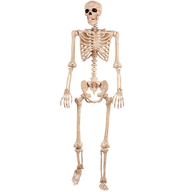 Life Size Human Skeleton Halloween Decoration