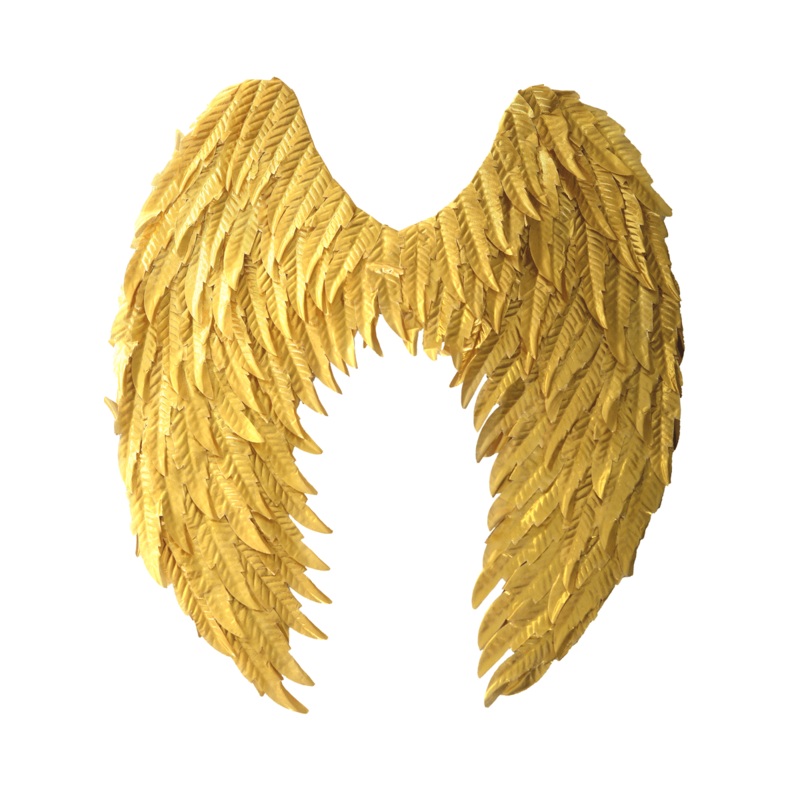 Metallic Gold Angel Costume Wings