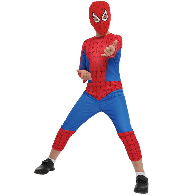 Spider Hero Boys Superhero Fancy Dress Costume