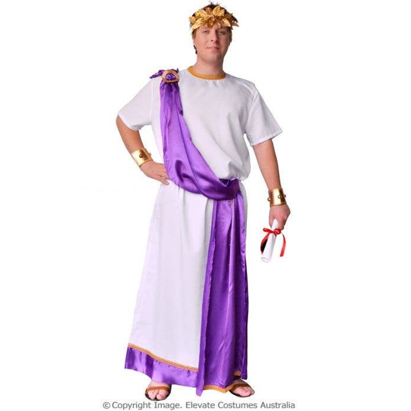 Julius Caesar Mens Plus Size Roman Costume