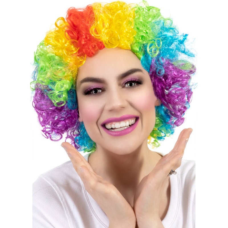 Bright Rainbow Adults Clown Afro Costume Wig