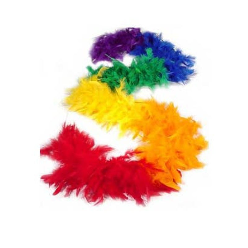 Bright Rainbow Feather Costume Boa